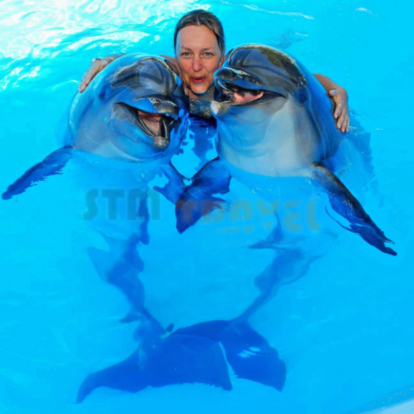 dolphin-show-hurghada-stm-travel