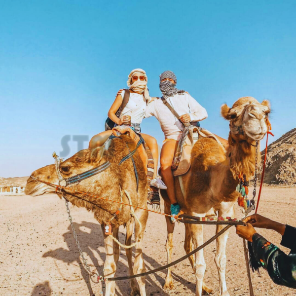 super_safari_hurgada_stmtravel